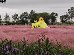 -嘉北郊野公园