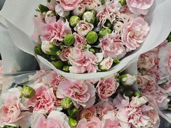 -循礼门鲜花花市(武汉循礼门店)