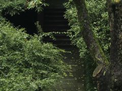 -虎跑公园