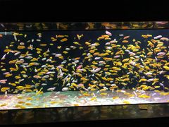 -成都浩海立方海洋公园