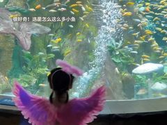 -合肥海洋世界