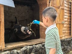 -HERRE·FARM 赫尔露营农场·团建聚会包场