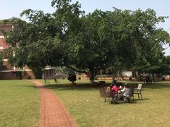 -侯臣咖啡文化村