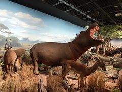 -陕西自然博物馆