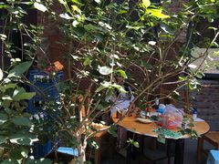 景观位-新疆狼爷烤肉(宋庄店)