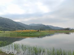 -径山花海