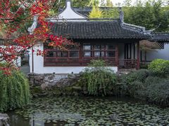 -上海醉白池公园
