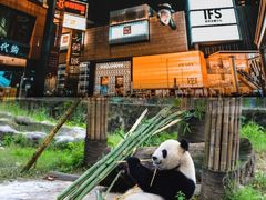 -君坤酒店(成都春熙路太古里店)