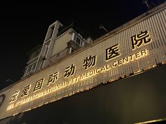 -宠爱国际维尼动物医院·疑难骨科·神经外科·肿瘤科(丰潭路店)