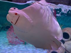 -沈阳海洋探索中心