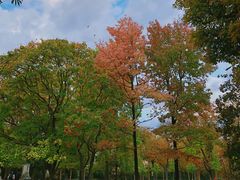 -卢森堡公园