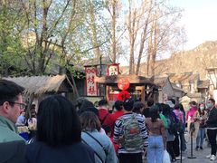 -古北烤梨