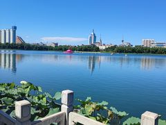 -莲花池公园