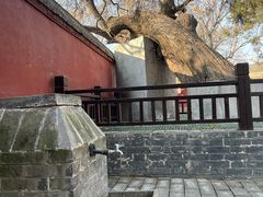 -天宁寺