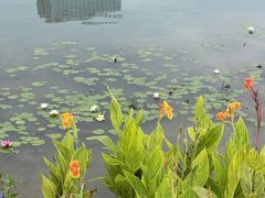 -金沙湖公园