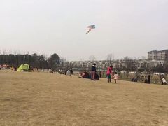-两河城市森林公园