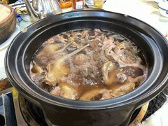 -一煲鸽