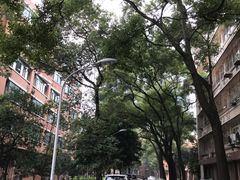 -四川大学(望江校区)
