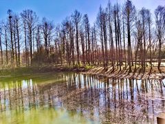 -西溪国家湿地公园