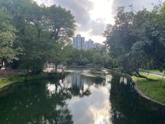 -晓港公园
