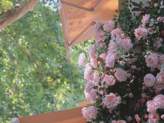 -也枫·小黄楼(南山路旗舰店)