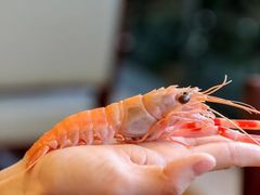 -索菲特西湖大酒店·香榭丽全日候餐厅(南山路店)