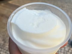 -洪馨椰子