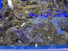 -澜悦港海鲜体验主题餐厅