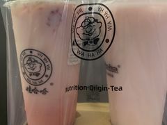 -娃哈哈·奶茶(武林店)