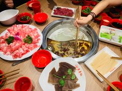 -季季红火锅(动壹店)