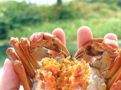 -欢乐蟹庄·精品农家乐(阳澄湖莲花岛店)