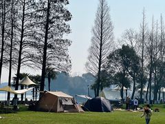 -上海美帆帆船露营基地