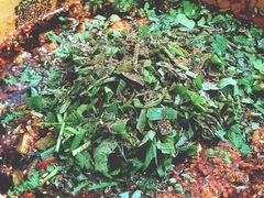 -乐山第一家临江鳝丝(茶坊路店)