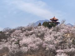 -白水寺森林公园