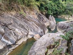 -广州白江湖森林公园