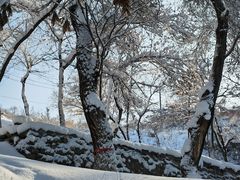 -水磨沟公园