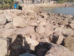 -深圳湾公园(南山区)