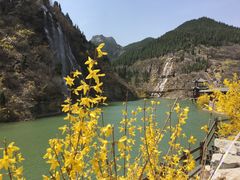 -黄花溪