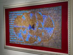 -上海昆虫博物馆