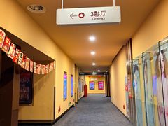 -华谊兄弟影院(IMAX洋桥店)