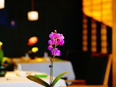 -粤秀餐厅(国货店)