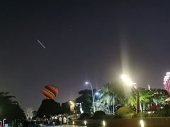 -万绿园