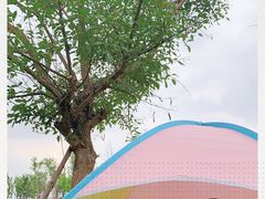 -白鹭湾湿地公园