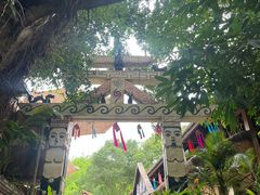 -西双版纳原始森林公园