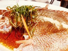 -79号渔船海鲜饭店(华强北店)