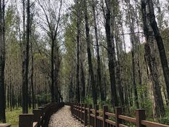 -百里山水画廊乌龙峡谷