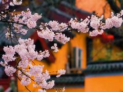 -鸡鸣寺