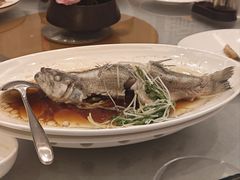 -荣誉大酒店·荣誉海鲜酒楼(晋江电力店)