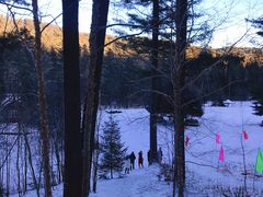 -五营红松林海景区