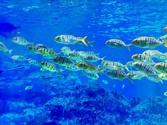 -海合安成都极地海洋公园